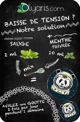 Olyaris - Huile Essentielle de Sauge : Tout savoir